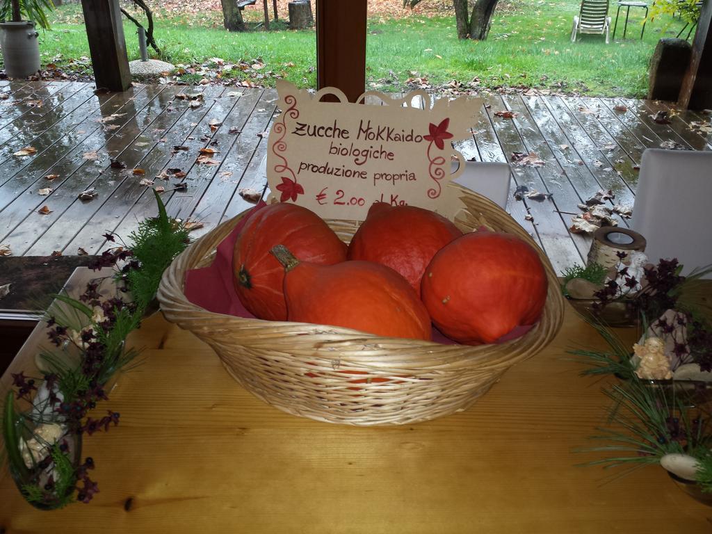 Alojamento de Turismo Rural Bioagriturismo Vegan Campo Di Cielo *