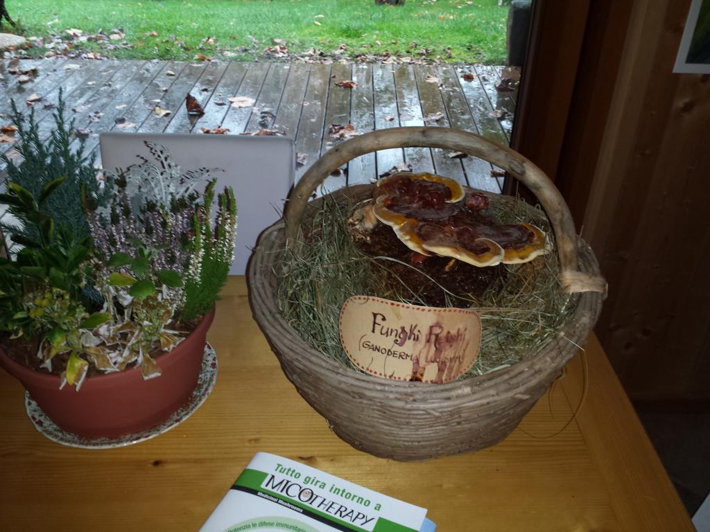 Alojamento de Turismo Rural Bioagriturismo Vegan Campo Di Cielo Cesiomaggiore