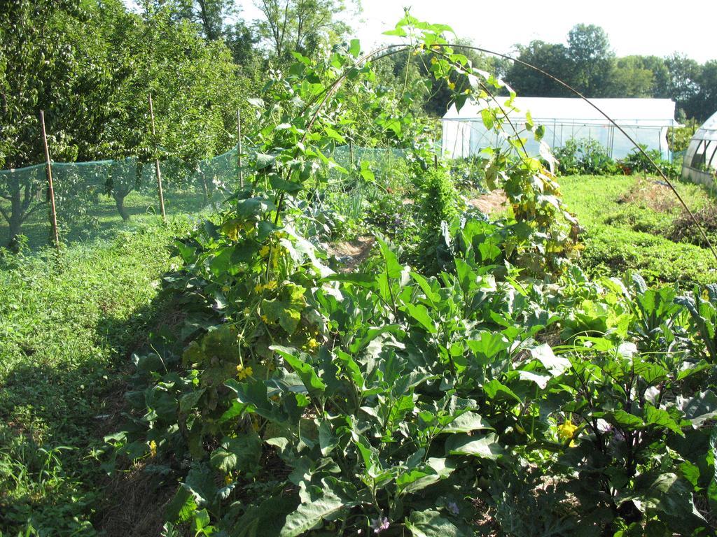 Bioagriturismo Vegan Campo Di Cielo *
