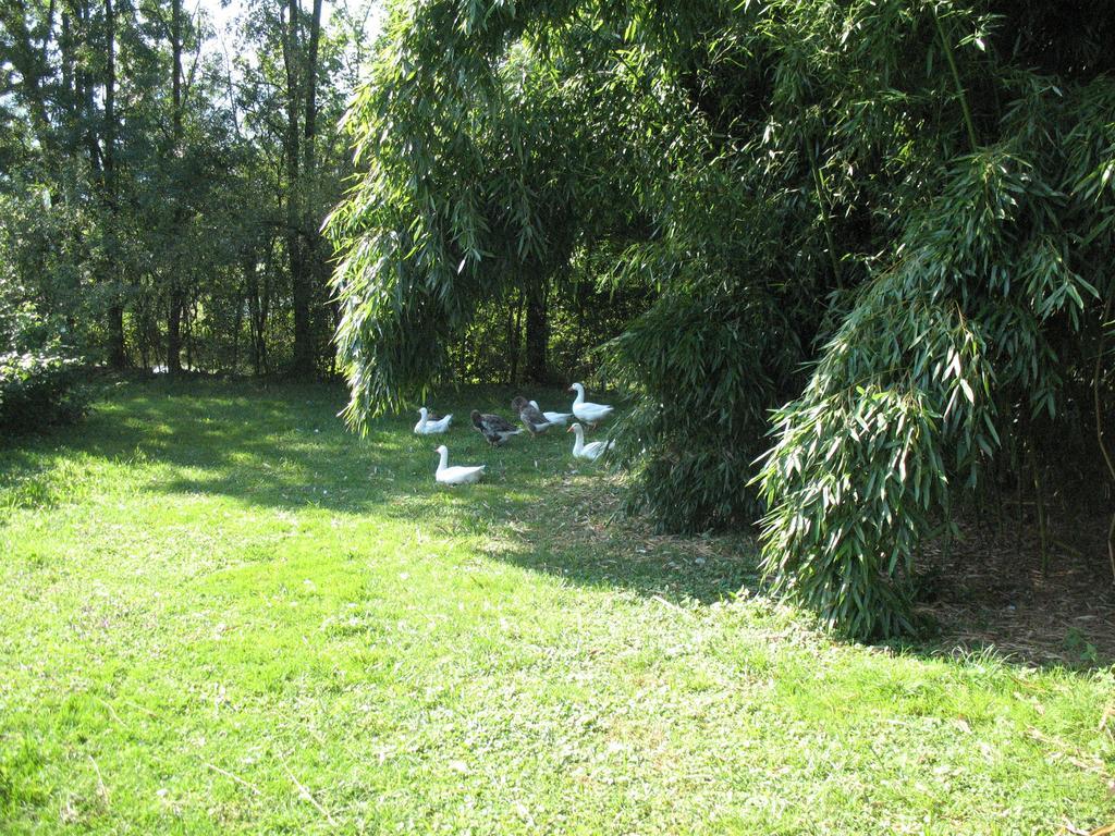 Alojamento de Turismo Rural Bioagriturismo Vegan Campo Di Cielo