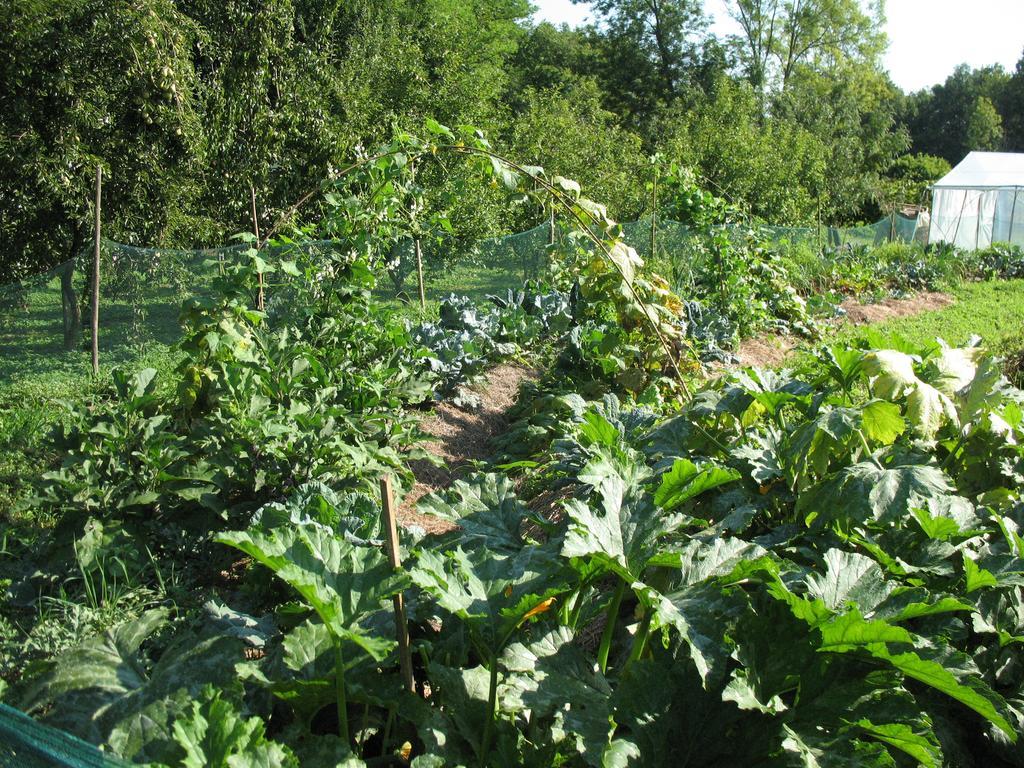 Alojamento de Turismo Rural Bioagriturismo Vegan Campo Di Cielo