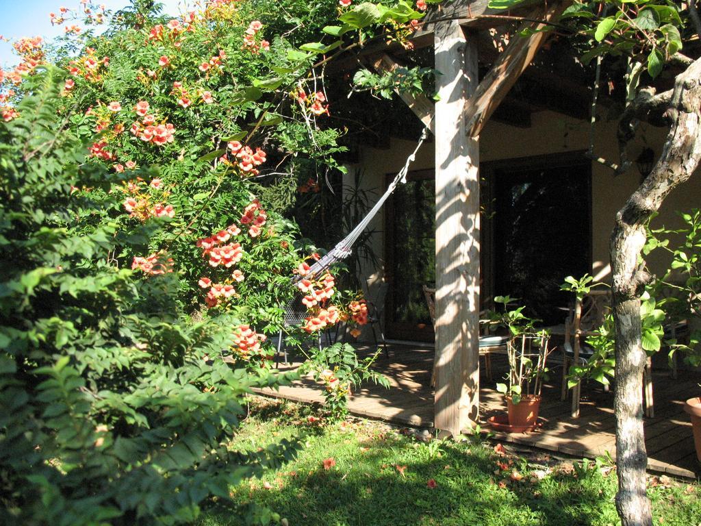 Bioagriturismo Vegan Campo Di Cielo Cesiomaggiore