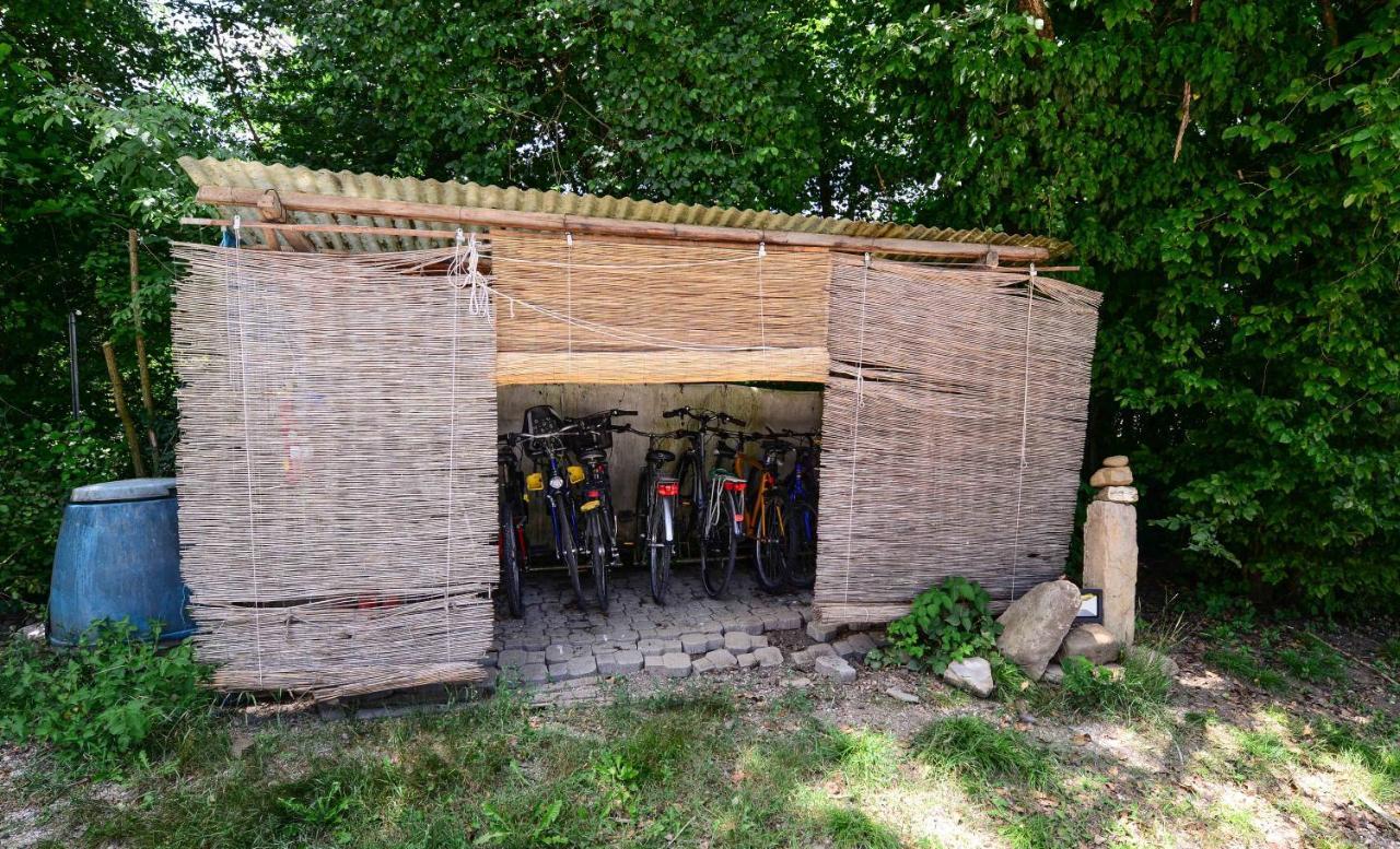 Alojamento de Turismo Rural Bioagriturismo Vegan Campo Di Cielo *
